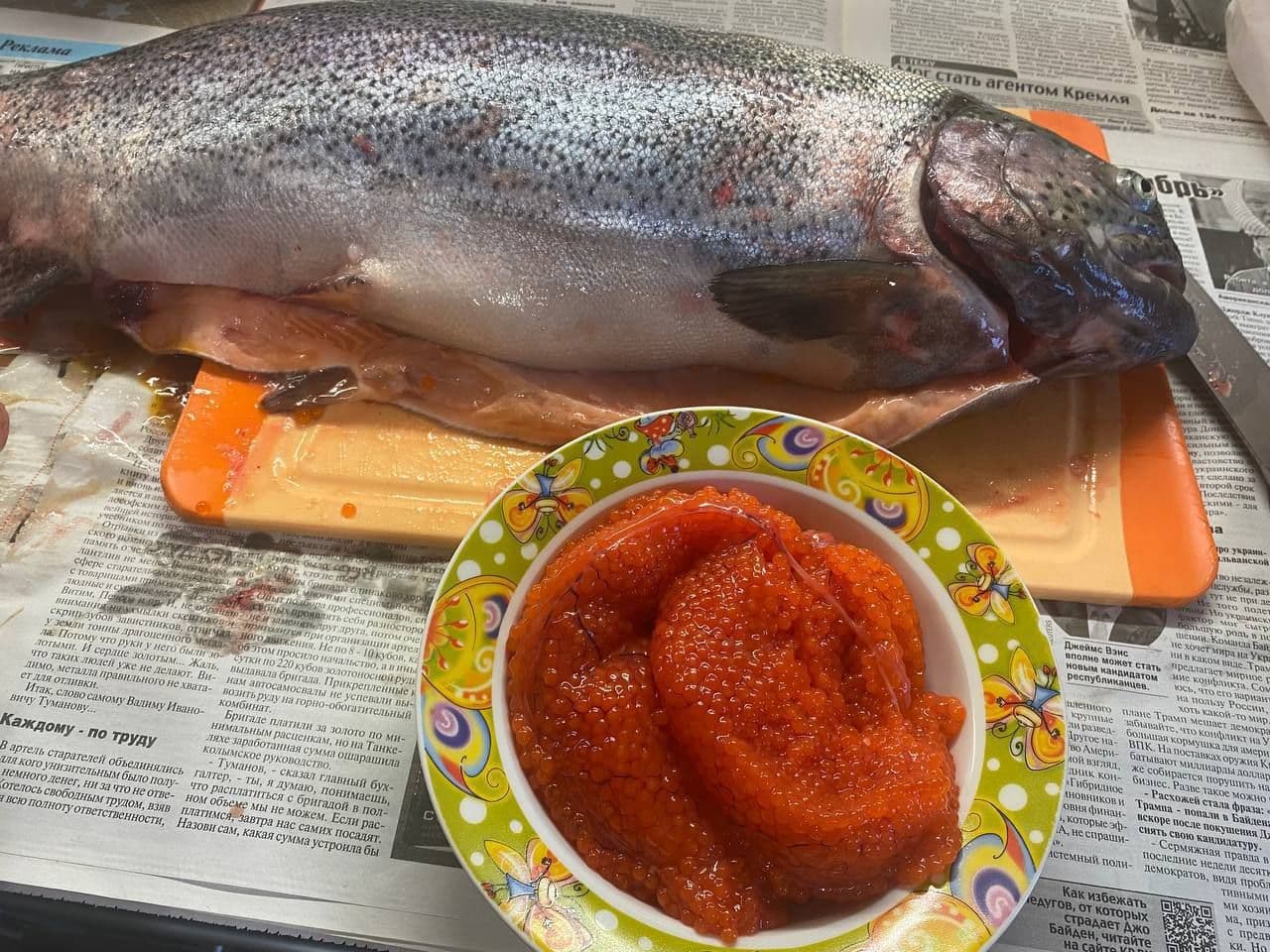 Форель охлажденная Мурманск