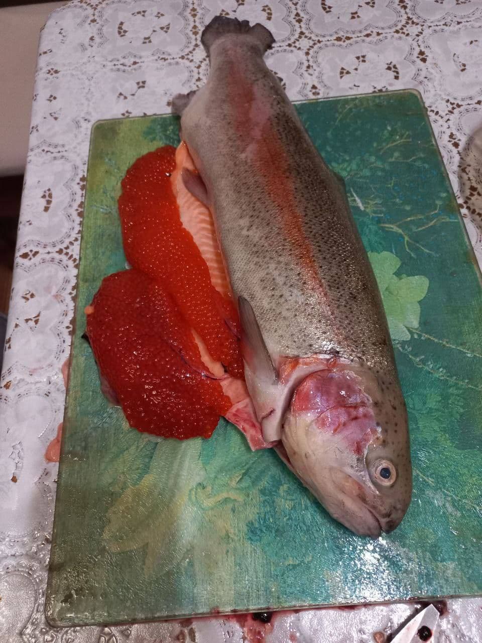 Форель охлажденная Мурманск