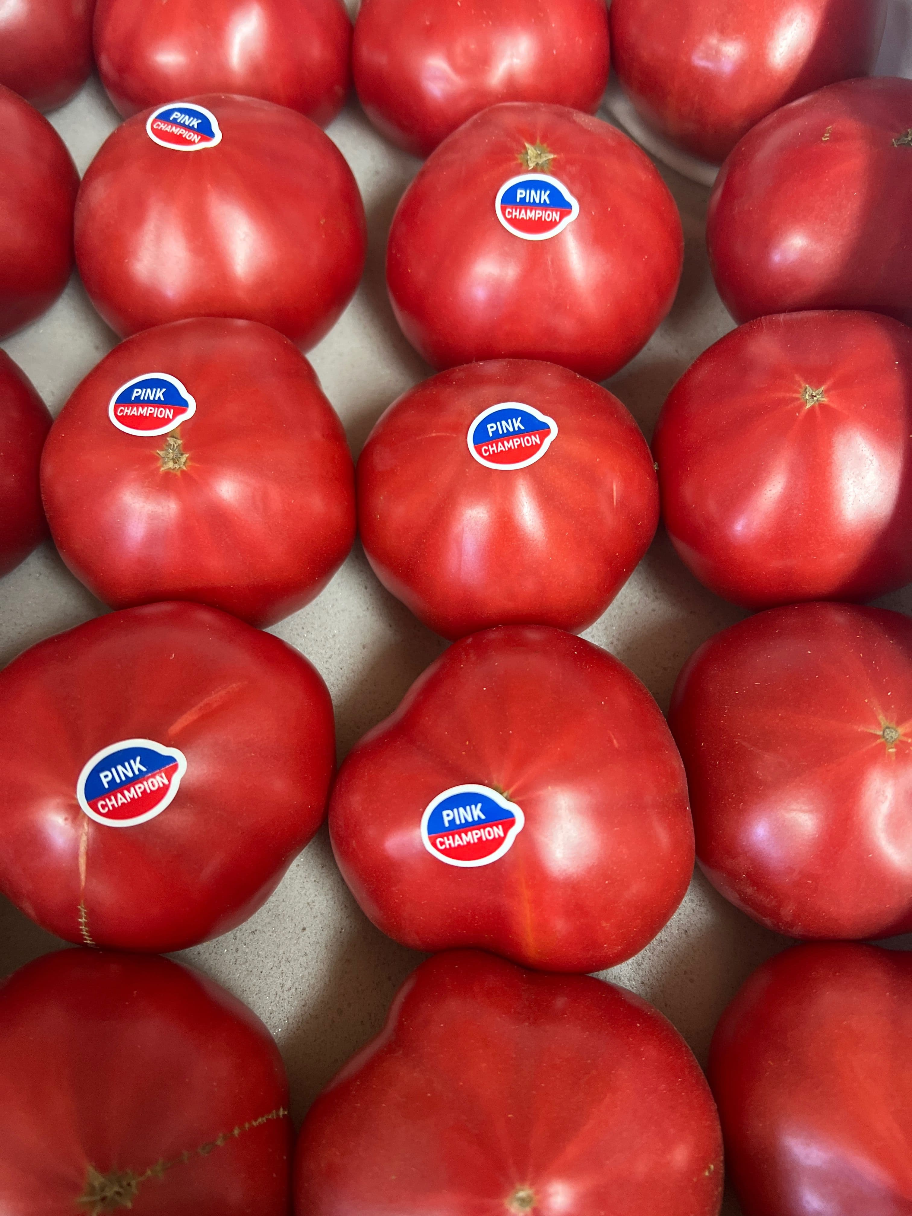 Помидоры дагестан