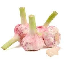 Чеснок свежий