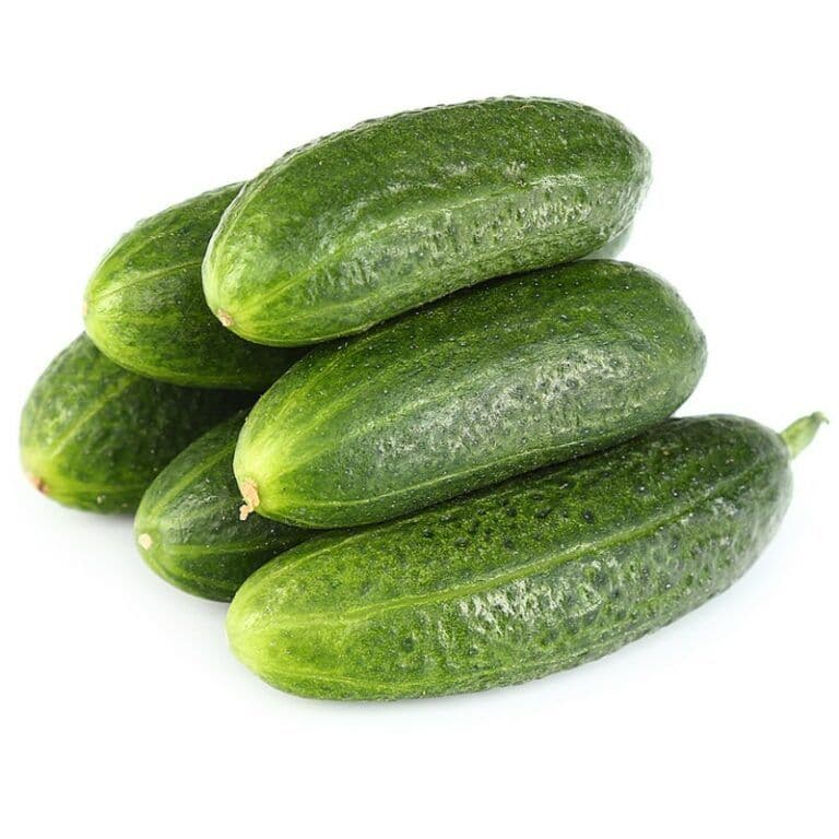 Огурцы луховец