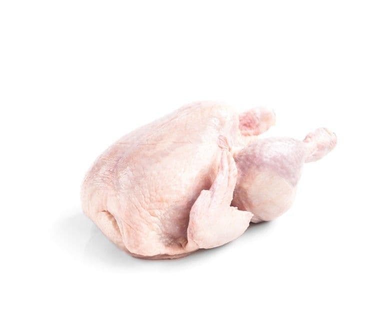 Цыпленок КОРНИШОН